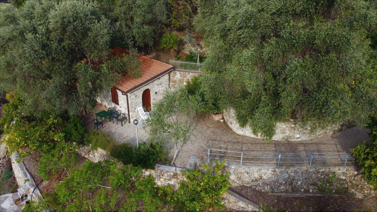U Ciousu By Ligurian Life Appartamenti In Agriturismo Vallebona Exteriér fotografie