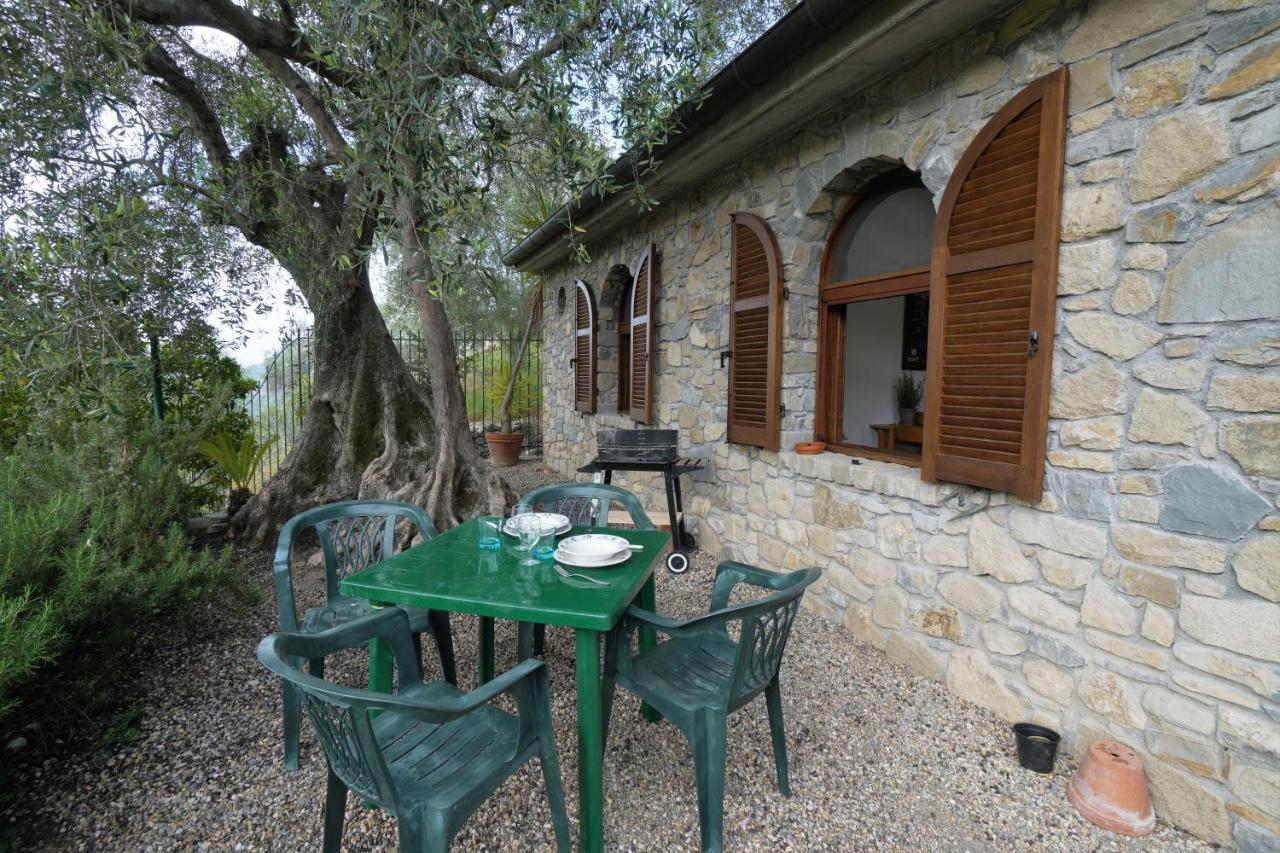 U Ciousu By Ligurian Life Appartamenti In Agriturismo Vallebona Exteriér fotografie