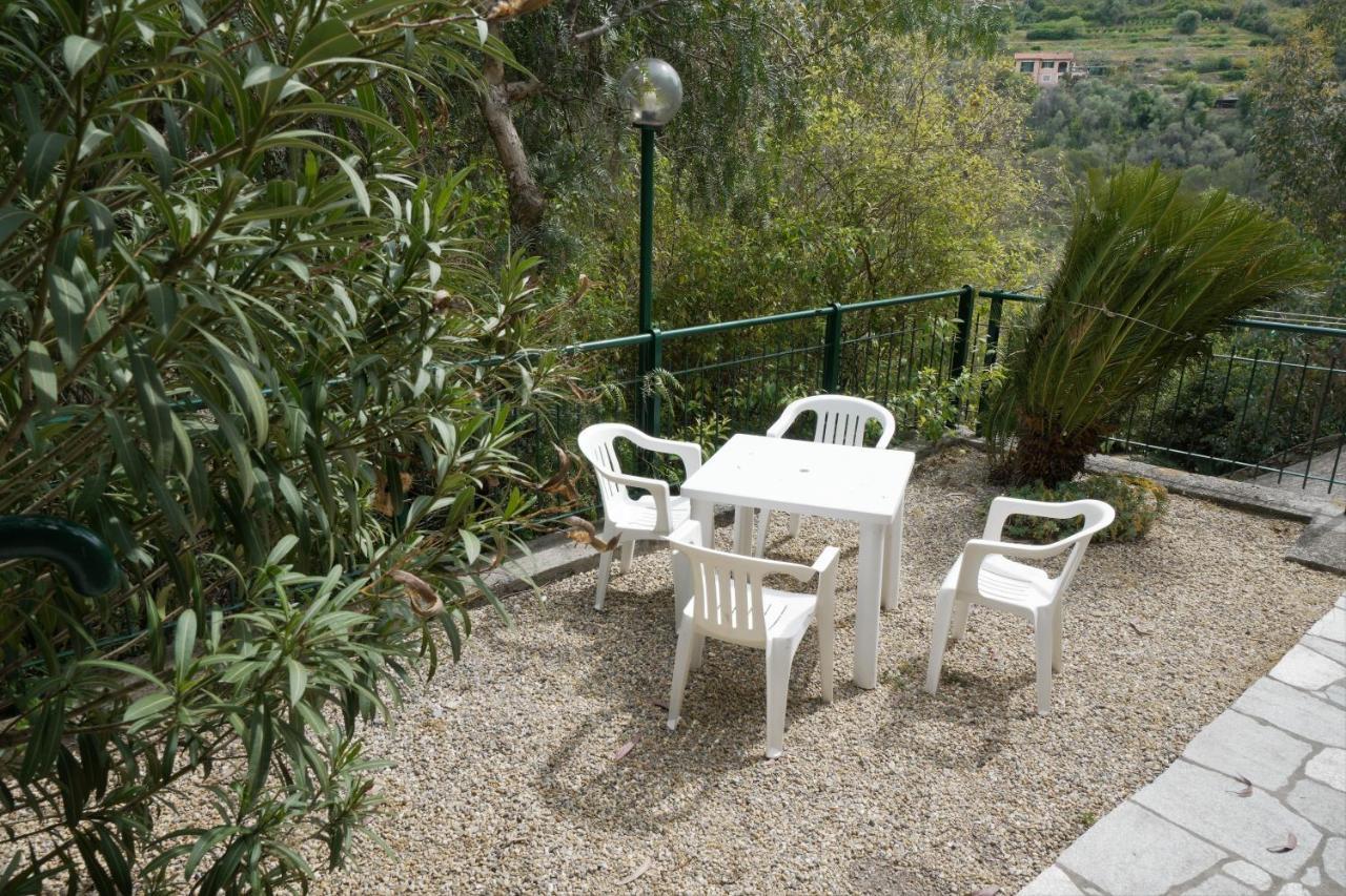 U Ciousu By Ligurian Life Appartamenti In Agriturismo Vallebona Exteriér fotografie