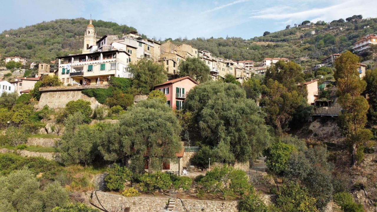 U Ciousu By Ligurian Life Appartamenti In Agriturismo Vallebona Exteriér fotografie